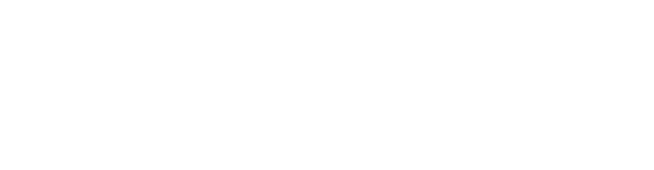 Zebra DJ's Logo